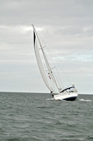 2009 J105 NAs D 1231