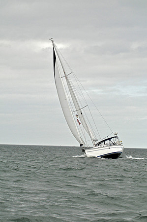 2009 J105 NAs D 1231
