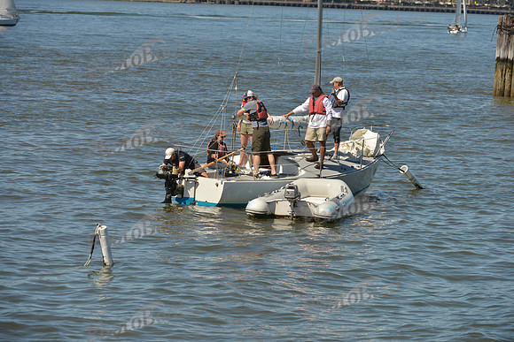 2016 NY Architects Regatta_0021