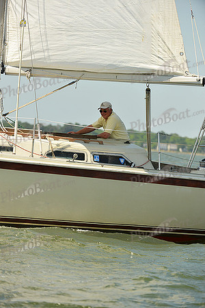 2015 Southern Bay Race Week A 1544