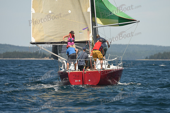 2016 Chester Race Week A_0497