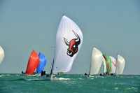 2014 Key West Race Week D 883
