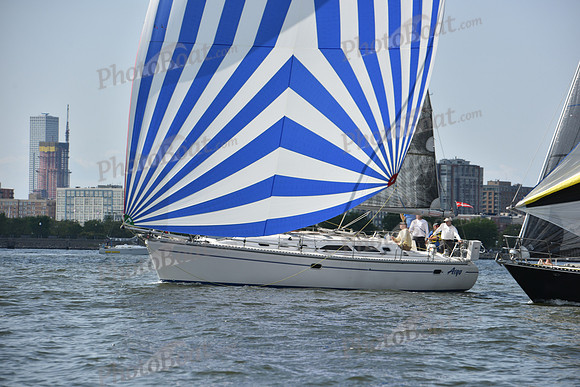 2019 ALIR_0217