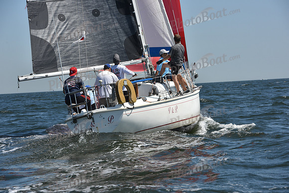 2019 Vineyard Race A_0451