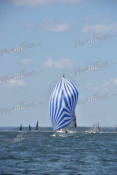 2020 Vineyard Race A_0284