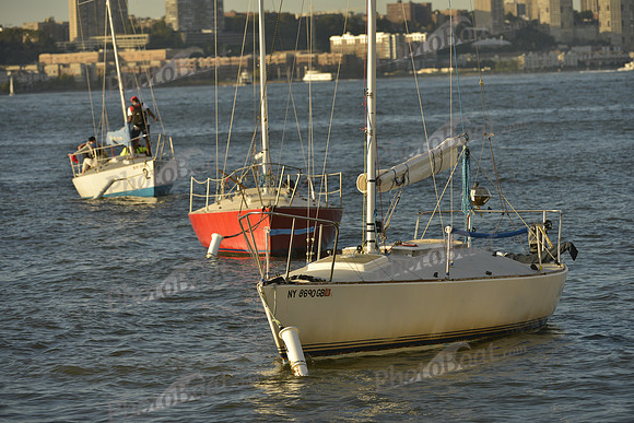 2016 NY Architects Regatta_1268