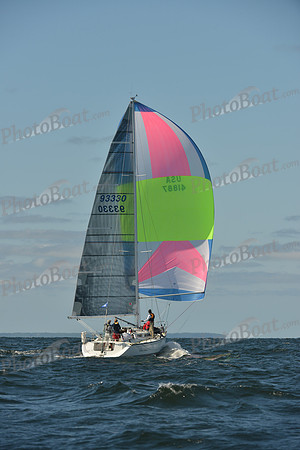 2015 Vineyard Race C 249
