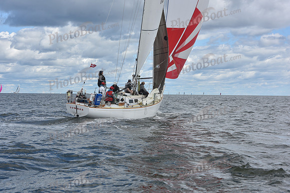 2021 Vineyard Race A 1164
