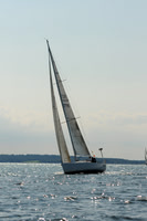2011 Vineyard Race A 1441