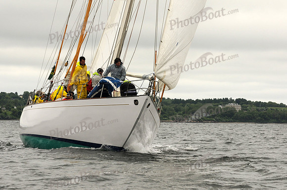2011 NYYC Annual Regatta C 236