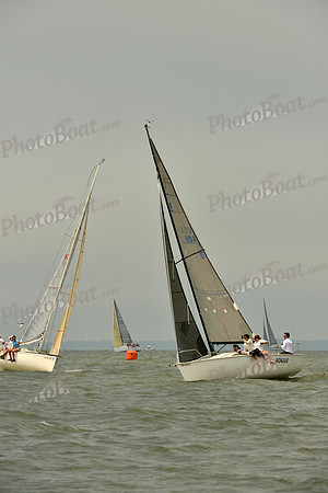 2016 Southern Bay Race Week A_0701