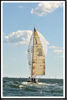 proof_2010_Vineyard_Race_1164
