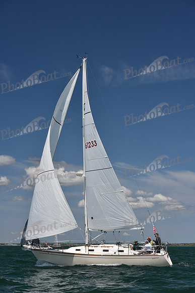 2019 Figawi_0382