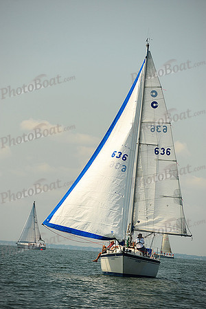 2014 Cape Charles Cup A 207