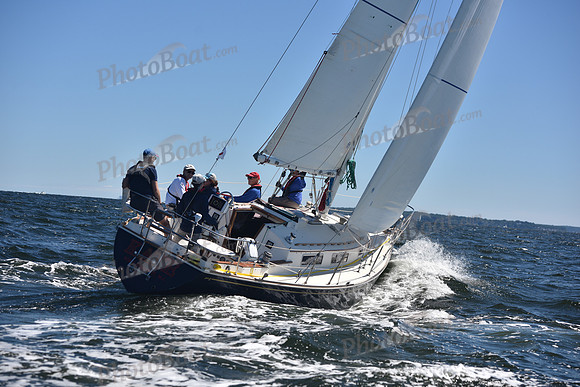 2022 Vineyard Race A_0406