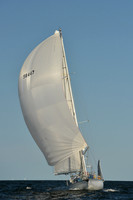 2015 Vineyard Race C 557