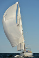 2015 Vineyard Race C 560