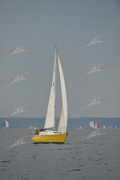 2016 Chester Race Week D_0673