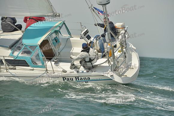 2018 Figawi_1293