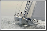 proof_2010 Block Island Race 359