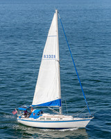 DBP_1274