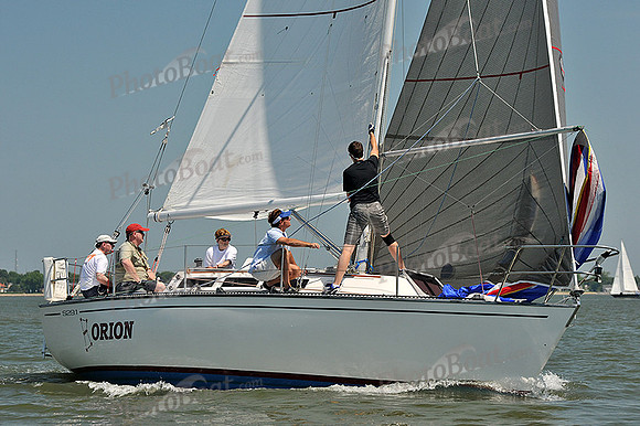 2013 Southern Bay Race Week A 310
