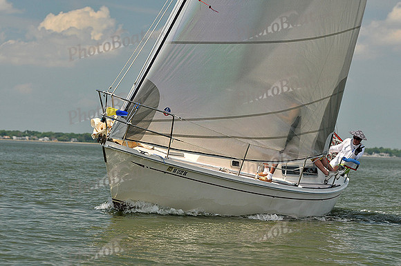 2013 Southern Bay Race Week A 517