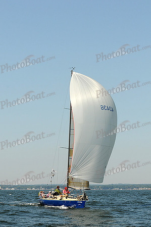 2012 Vineyard Race A 158