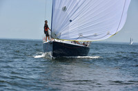 2019 Vineyard Race A_2564