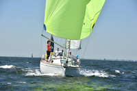 2019 Vineyard Race A_0517
