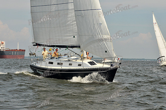 2012 Gov Cup A 2339