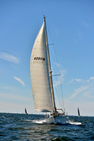 2017 Vineyard Race A_0507