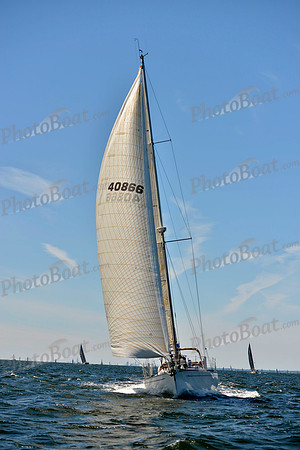 2017 Vineyard Race A_0507