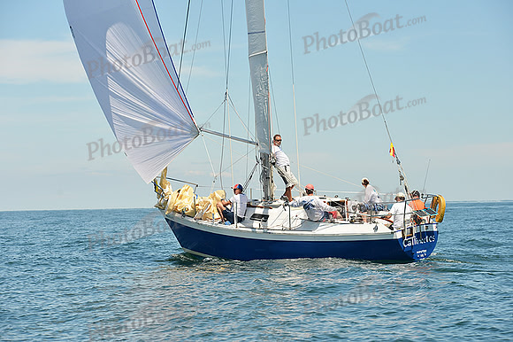 2015 Cape Charles Cup A 647