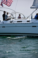 2019 Figawi_0341