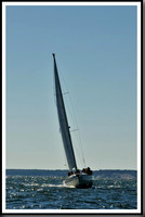 proof_2010_Vineyard_Race_2893