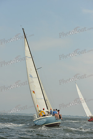 2015 Vineyard Race A 285