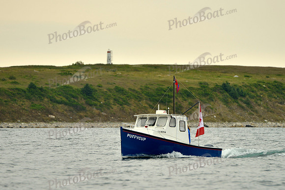 2016 Chester Race Week E_0209