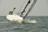 2015 Vineyard Race A 835