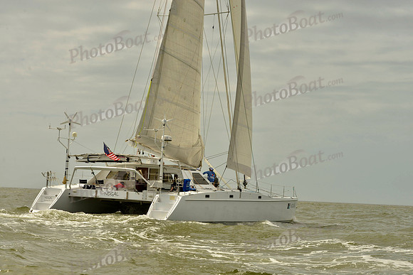 2019 Charleston Race Week A_0805