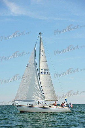 2015 Cape Charles Cup A 1482