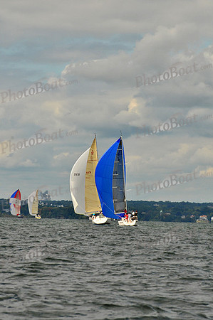 2010 IRC LIS 141