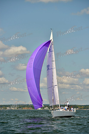 2017 Stamford Denmark Race_1094