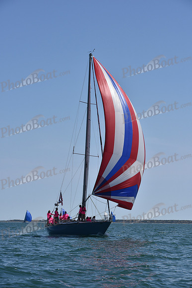 2019 Figawi_1203