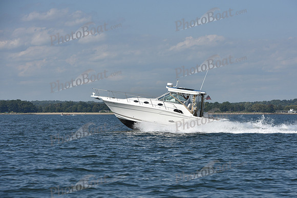 2019 Vineyard Race A_3010