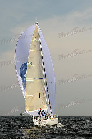 2013 Vineyard Race A 782