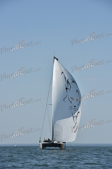 2019 Vineyard Race A_2435