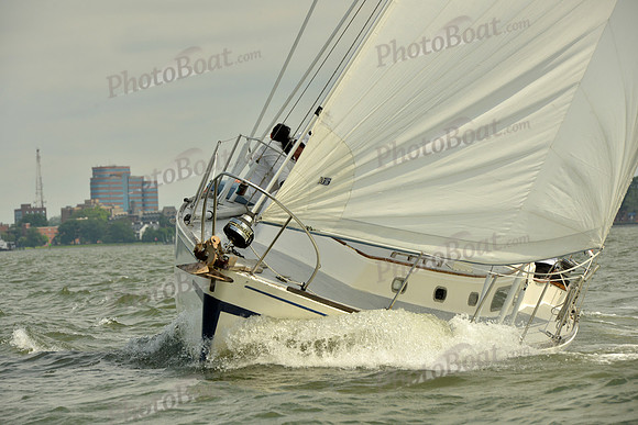 2016 Southern Bay Race Week G_0137