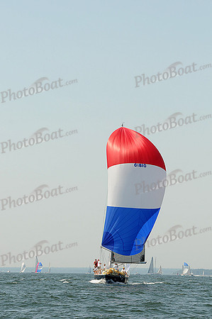 2012 Vineyard Race A 631