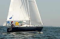 2012 Vineyard Race A 319